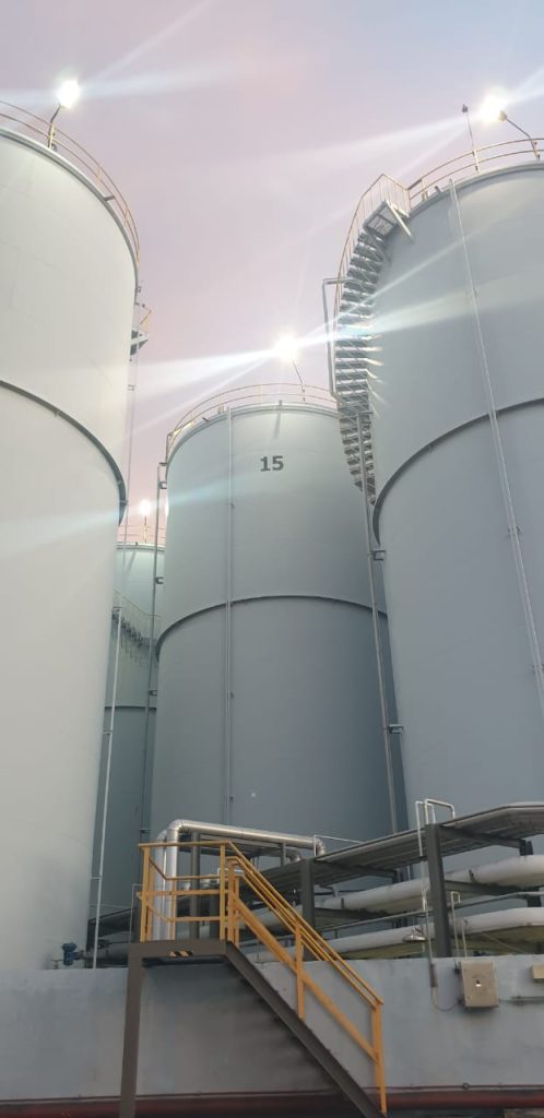 WhatsApp Image 2025-12-08 at 11.49.28 AM